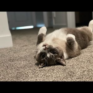 Meet your Posher, Jiwon